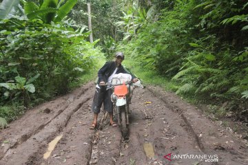 Sungai Bone meluap, ternak hanyut dan sawah di Pinogu terendam