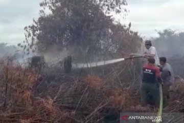 Karhutla di Aceh Barat masih terjadi, lahan terbakar capai 2,1 hektare