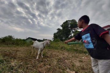 Tempat wisata di Jakarta dibuka, warga ibu kota langsung berlibur?