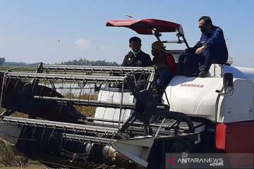 Menteri Pertanian dorong gerakan percepatan tanam di semua daerah