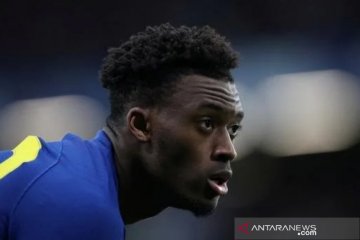 Pemain Chelsea Hudson-Odoi terhindar dari tuduhan pemerkosaan