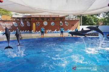 Simulasi pembukaan wisata edukasi satwa Batang Dolphins Center