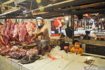 Kementan catat realisasi impor daging hingga Juli 68.125 ton