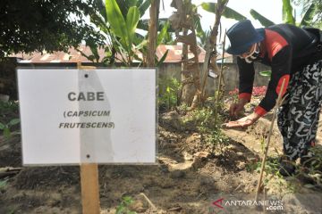 Melihat Kampung Tangkal COVID 19 di Palembang