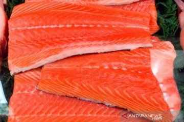 Salmon Norwegia bukan sumber virus corona di Beijing