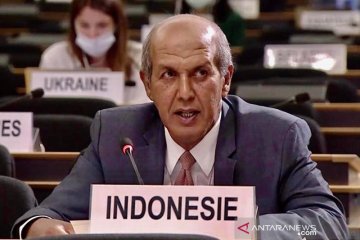 Dubes: RI perlu bukti ilmiah untuk tangkal isu negatif sawit di UE