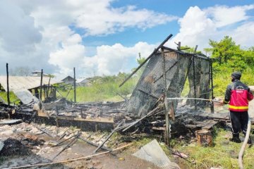 Bocah 10 tahun selamatkan adik bayi, saat rumahnya terbakar di Sampit