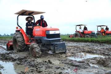 Mentan ingin memastikan pertanian berproduksi di tengah COVID-19