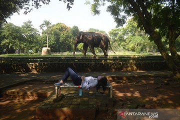 Ragunan masih buka