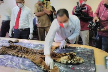 Empat tersangka perdagangan harimau sumatera ditangkap Polda Aceh