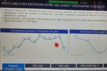 Pertumbuhan ekonomi Kepri triwulan I-2020 sebesar 2,06 persen