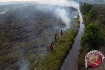 Tinggi muka air lahan gambut di Sumsel mulai turun