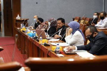 Legislator minta Perpusnas buat peta jalan perpustakaan