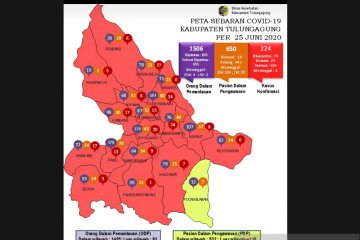 Sejumlah 66 pasien COVID-19 Tulungagung sembuh dan langsung pulang