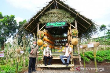 Doni Monardo puji sertifikasi protokol kesehatan pariwisata Banyuwangi