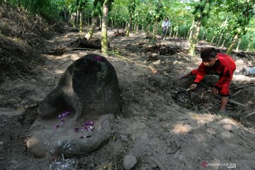 Batu candi diduga peninggalan Mataram Kuno