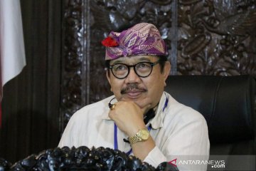 Wagub: "Working from Bali" potensial dikembangkan di tengah pandemi