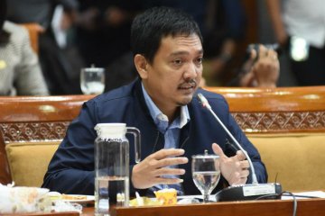 Legislator minta pemerintah aktif fasilitasi industri kreatif