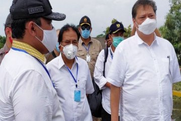 Pulang Pisau tambah 56.000 hektare lahan pengembangan 'food estate'