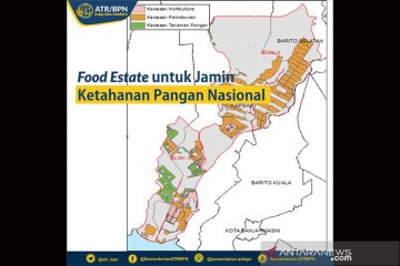 Menjawab ancaman krisis pangan lewat "food estate" di lahan rawa