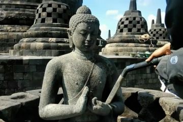 Balai konservasi bersihkan Borobudur dari abu Merapi