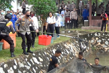 Polda Babel panen perdana 350kg ikan patin