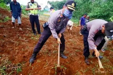 Polres Pandeglang ajak warga tanam singkong