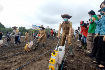 Gumas membangun pertanian unggul di lahan 500 hektare