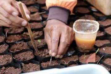 Kisah Tukiyat, 30 tahun menjaga hutan Wanagama