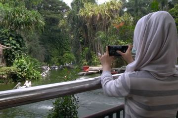 Yang berbeda dari Taman Margasatwa Ragunan di masa pandemi