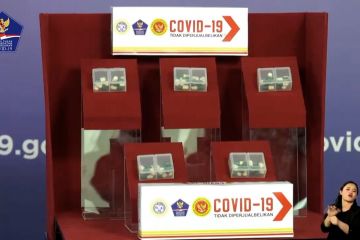 Akhirnya obat lawan COVID-19 lokal ditemukan