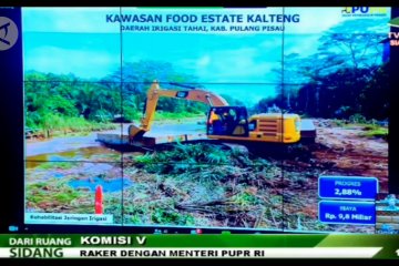 Menteri PUPR redesain jaringan irigasi food estate