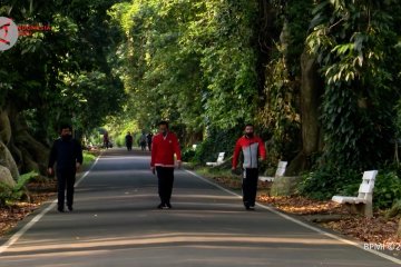 Presiden berolahraga di Kompleks Istana Kepresidenan Bogor