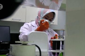 Virus Corona jenis baru di Indonesia diyakini belum bermutasi
