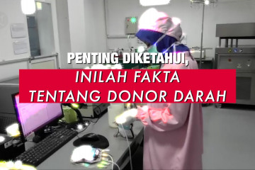 Penting diketahui, inilah fakta tentang donor darah