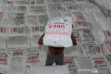 Antisipasi kelangkaan, Pupuk Indonesia jaga stok subsidi 384 persen