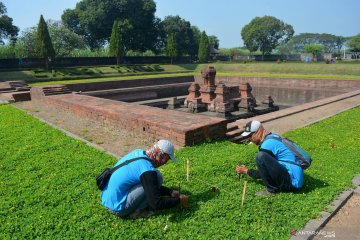 Evaluasi pemugaran Candi Tikus