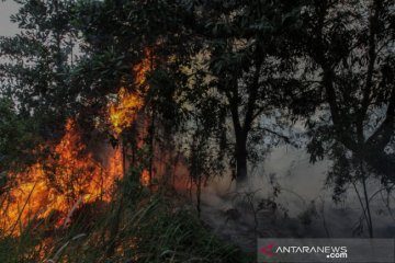 BMKG prediksi Riau alami puncak kemarau 2020 pada Juli dan Agustus