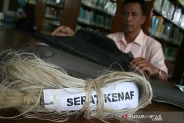 Kenaf, tanaman bernilai ekonomi tinggi