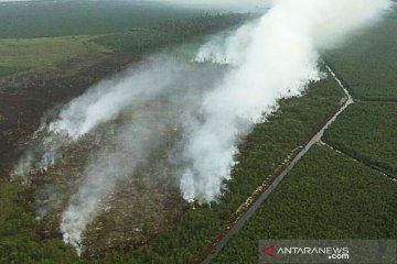 Kebakaran hutan dan lahan turun 81 persen pada November 2020