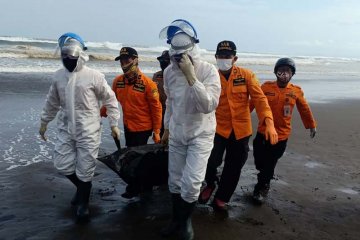 Tim SAR gabungan temukan satu wisatawan hilang di Pantai Jetis Cilacap