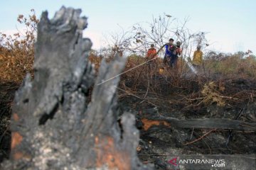 Kebakaran lahan gambut di Aceh Barat belum padam