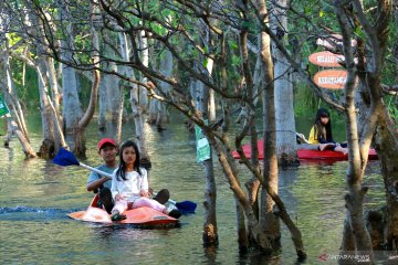 Banyuwangi buka sebagian tempat wisata dengan pembatasan