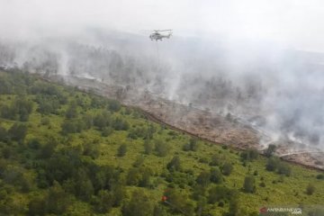 Kasus kebakaran hutan di Sumatera Selatan turun 36 persen