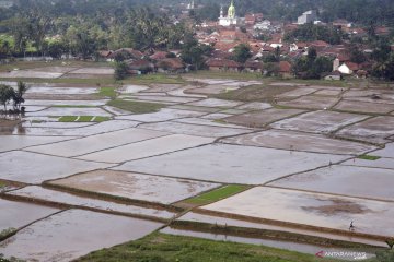 NSLIC fasilitasi konsultasi publik soal konversi lahan dan stok daging