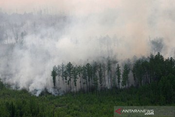 EU: Suhu Siberia capai rekor tertinggi pada Juni, picu kebakaran