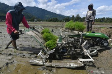 Peneliti: Diversifikasi salah satu instrumen capai ketahanan pangan