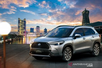 Pecinta Toyota Corolla bisa beralih ke versi SUV