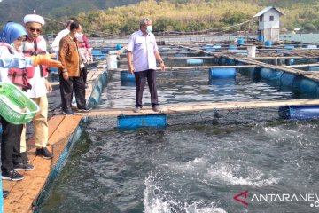 KKP dorong pengembangan perikanan budi daya