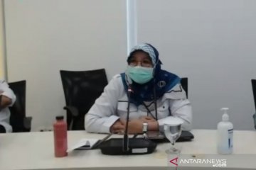 Kemenkes tegaskan African swine fever berbeda dengan flu babi